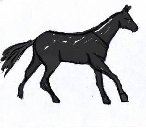 kůň