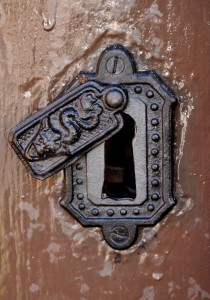 DSC_6833