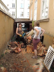 DSCN0746