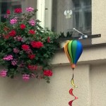 WP_20160802_003
