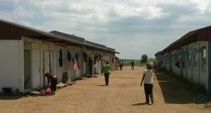 Foto Ion Avramioti 4