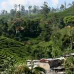 Srí Lanka