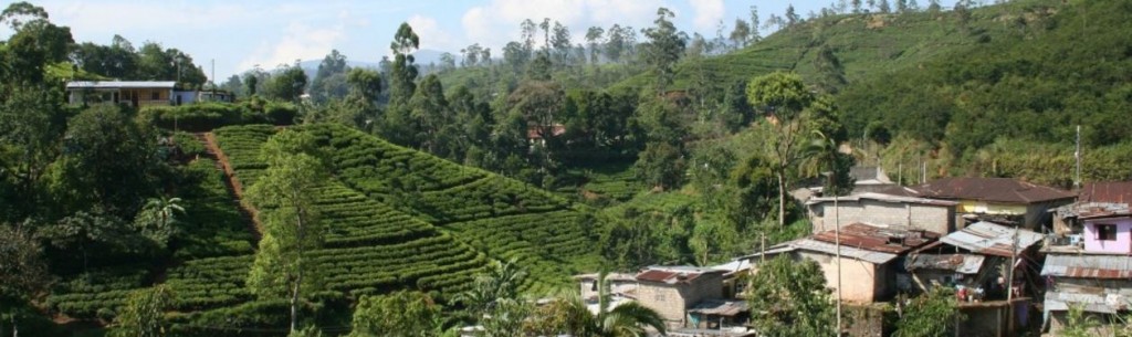 Srí Lanka