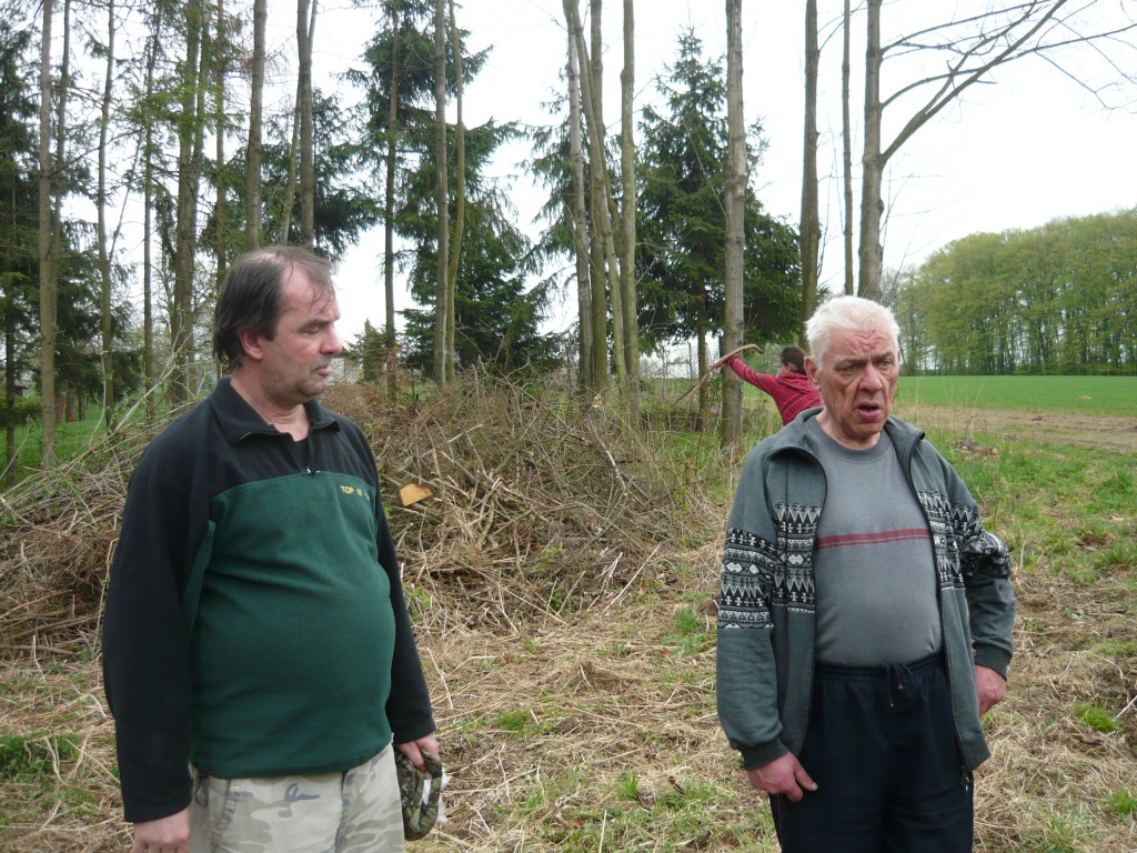 Matteo ilustrační foto 3