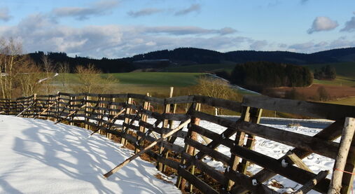 Český bratr 2/2019. Téma: Rozdělení křesťané