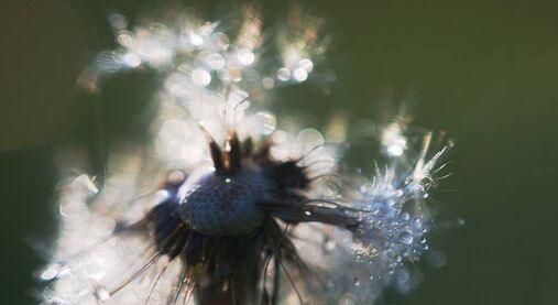 Biblická úvaha: Církev nám odkrývá vícerozměrnost života