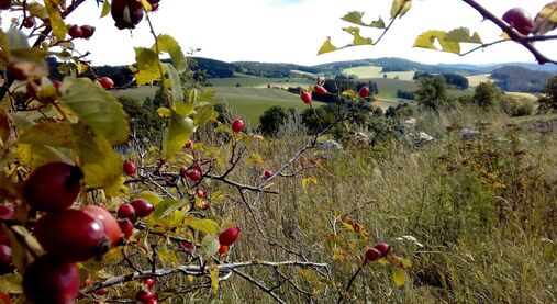 Poslední slovo: Bezkonfesijní křesťanství