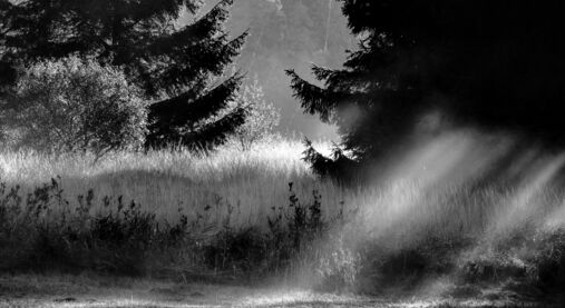 Církev zpívající: Bůh první slovo má