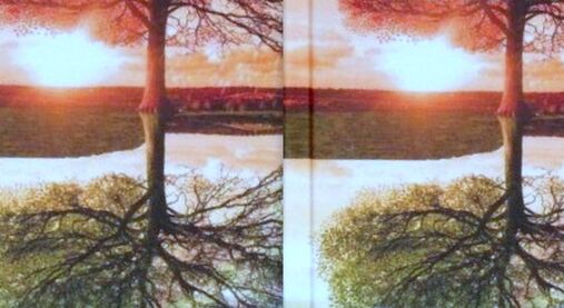 Anselm Grün: Rok plný štěstí