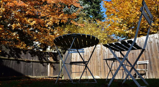 Český bratr 11/2019. Téma: To si musíš rozhodnout sám