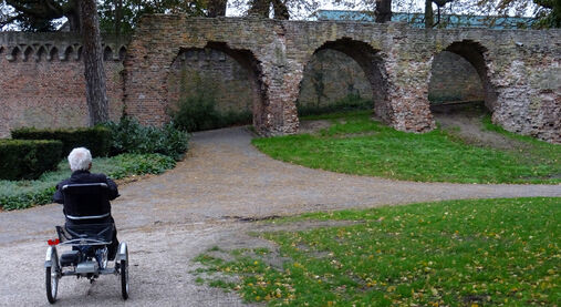 Hans van der Horst. Rozhovor o vztahu k Čechům a zážitcích na vlastní kůži