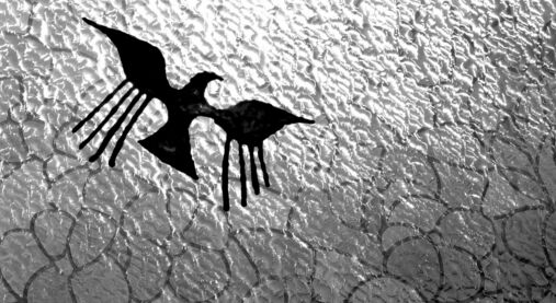 Pestrý svět evangelikálních křesťanů