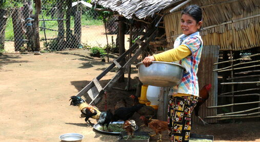 Pomoc farmářům v Kambodži
