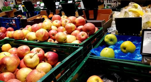 Takový obyčejný nákup. Předvídavost všedního dne