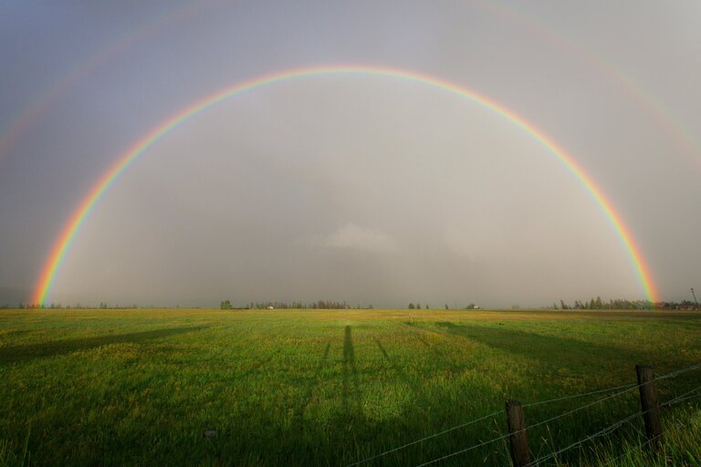 Otázka na tělo ČB 5/2024