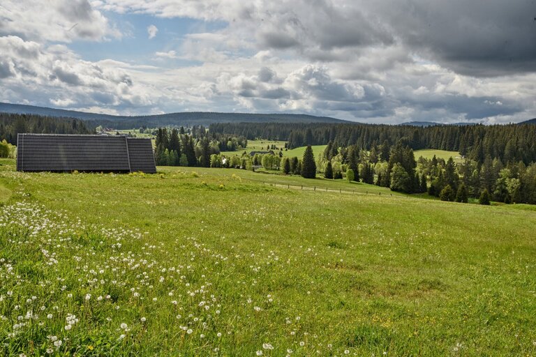 Biblická úvaha: Několik slov o hříchu