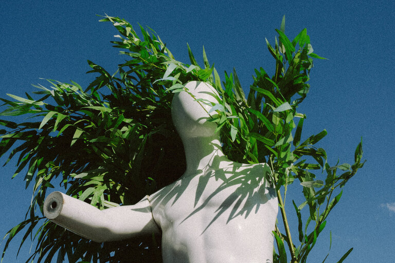 ČESKÝ BRATR 11/2025. TÉMA: KRÁSA