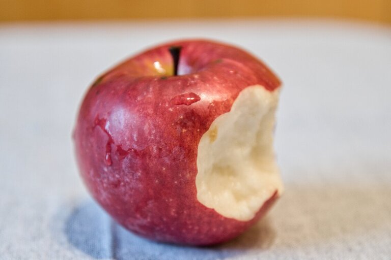 ČB 2/2026. TÉMA: POKUŠENÍ