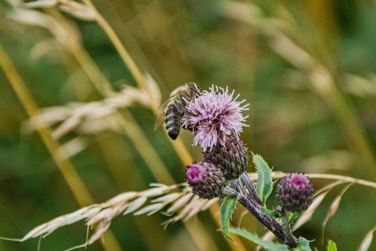 ČESKÝ BRATR 3/2026. TÉMA: OSOBNÍ POVOLÁNÍ
